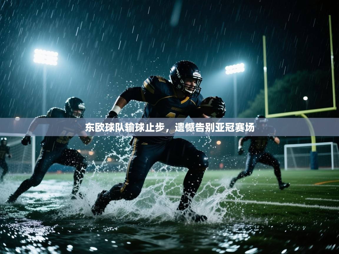 东欧球队输球止步，遗憾告别亚冠赛场  第1张