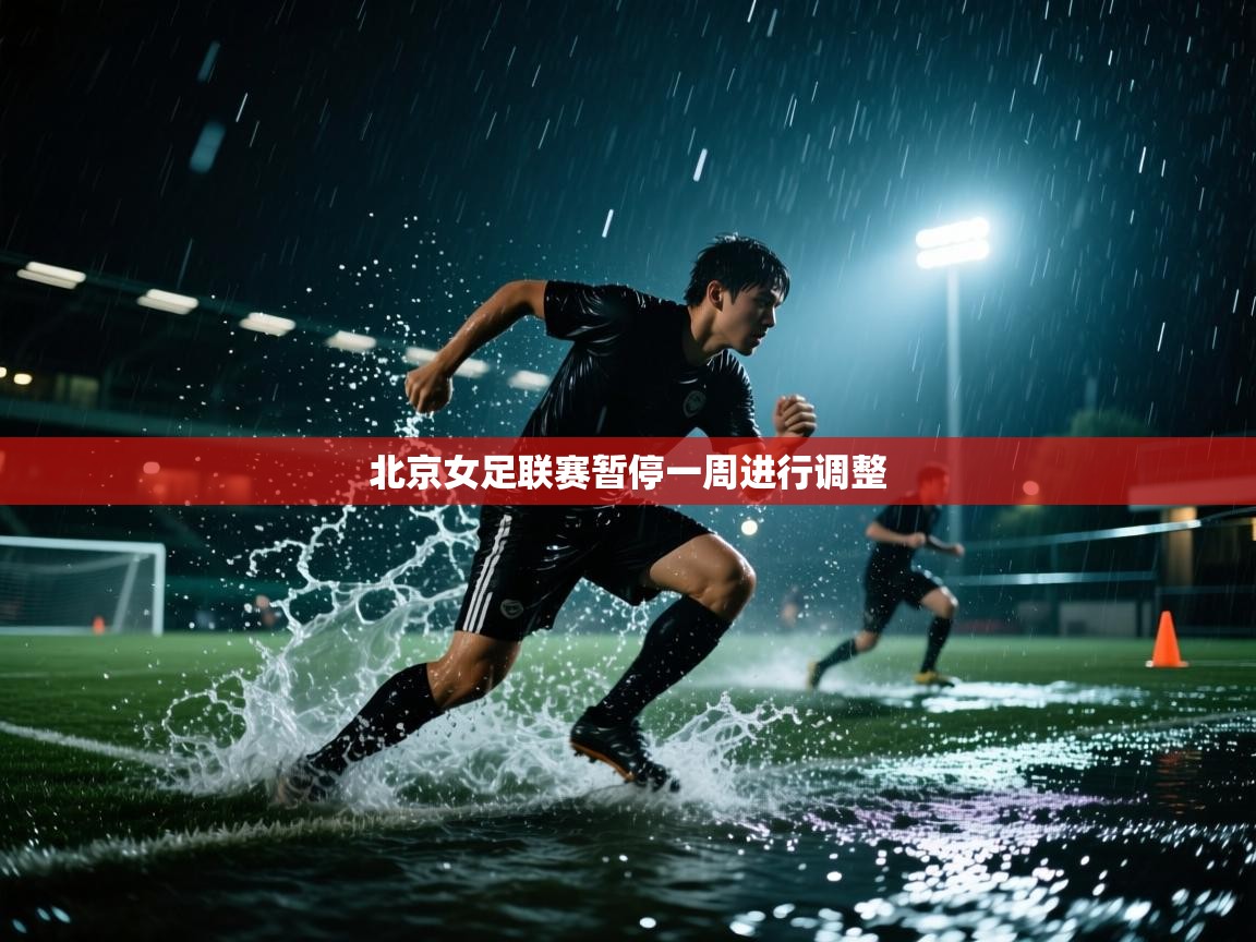 北京女足联赛暂停一周进行调整  第2张