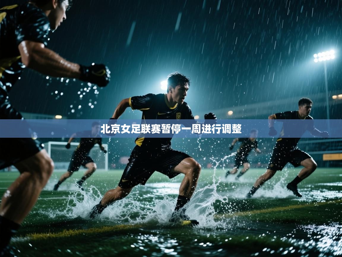北京女足联赛暂停一周进行调整  第1张