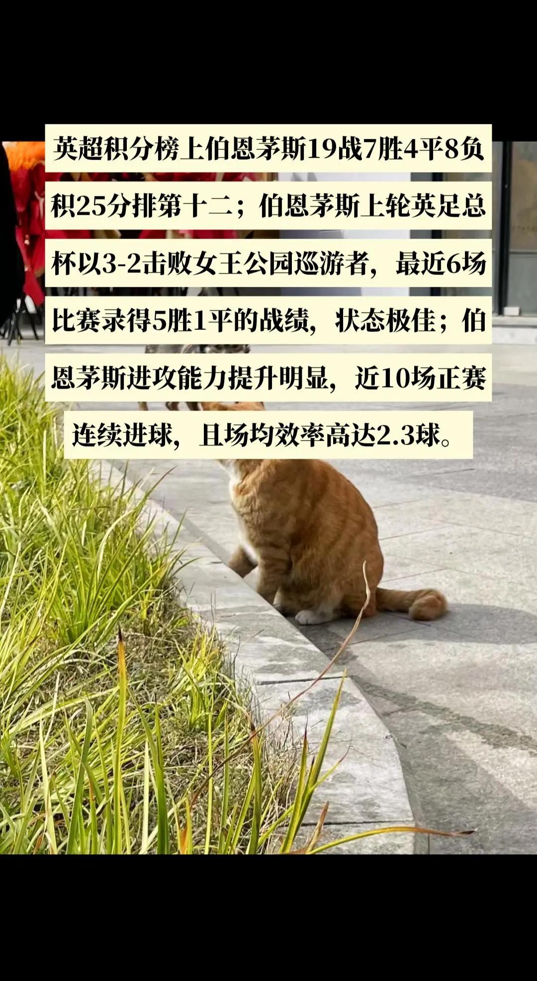 伯恩茅斯主场取胜,积分榜上升 伯恩茅斯主场取胜,积分榜上升